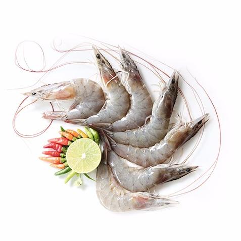 冷冻生南美白虾（厄瓜多尔）