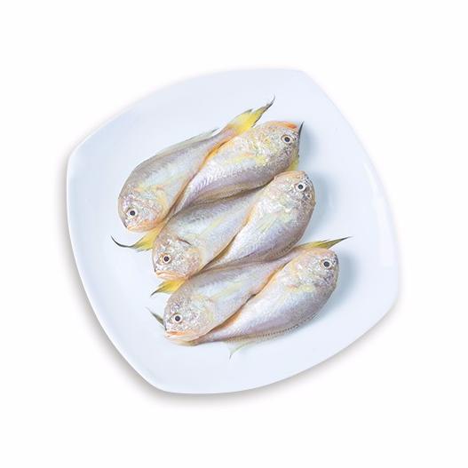 冻小黄鱼